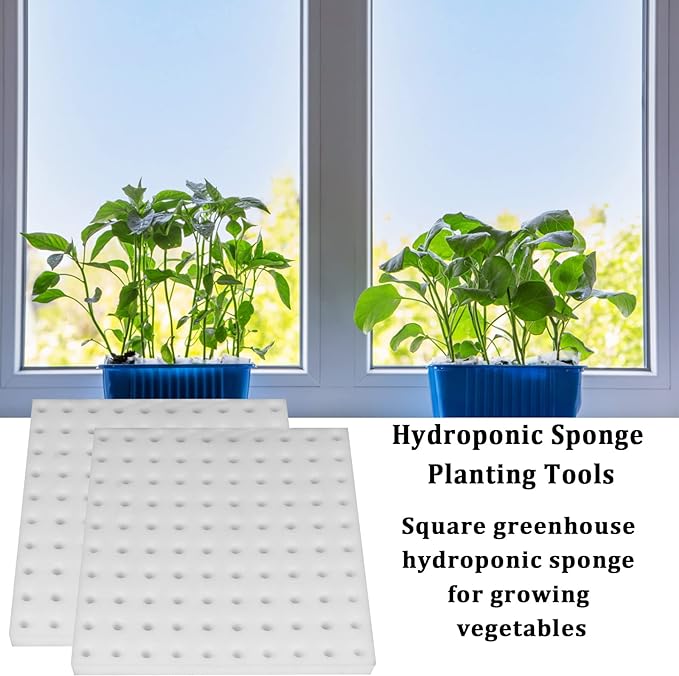 XIDAJIE 200 Pcs Hydroponic Sponges Planting Gardening Tool Soilless Cultivation Seedling Sponges Cultivation Sponge Greenhouse for Small Bud Growth & Grow Seedlings