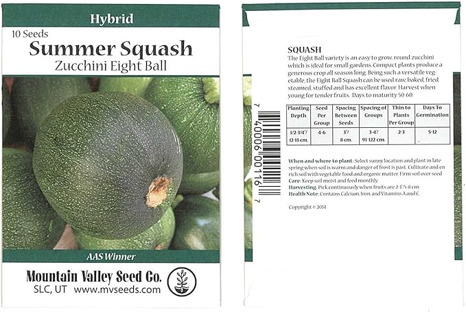 Eight Ball Hybrid Zucchini Summer Squash Garden Seeds - 10 Seed Packet - Non-GMO - Vegetable Gardening Seed