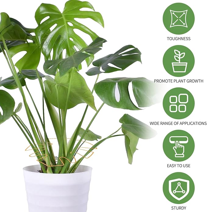 Spiritlele 5 Pcs Golden Plant Stem Support Holder Set Monstera Plant Support Clamp Growth Accessories for Indoor Plants Small