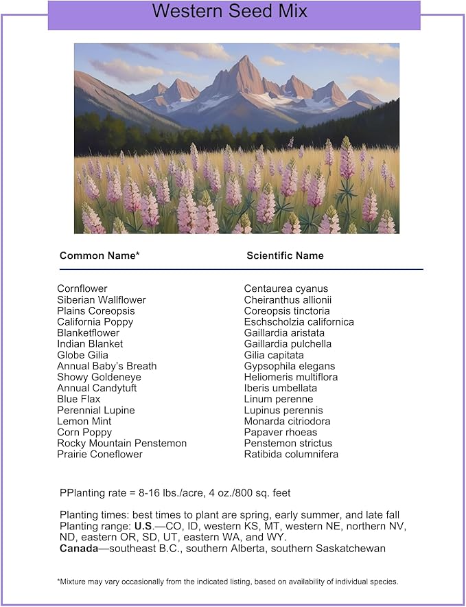 Western U.S. Regional Wildflower Seed Mix, 1 lb Covers 3,200 sq ft, Multi-Color Blooms, Spring and Fall Planting (1 Pound)