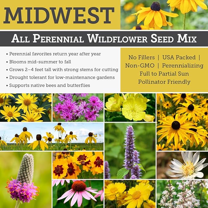 Willard & May Midwest All Perennial Wildflower Seed Mix, 125,000+ Bulk Flower Seeds, 18 Varieties, Pollinator Friendly, Full Sun, Easy Direct Sow, Bulk Flower Seeds Plant in Spring or Fall (1/4 Pound)