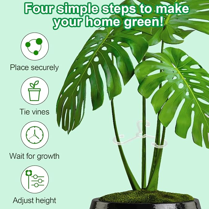 BOXOB 4pcs Plant Stem Supports, Reusable Houseplant Acrylic Stabilizer Grapple Holder 2 Sizes Leaf Support for Thriving Growth Indoor/Outdoor Monstera & Climbing Plants Flowers