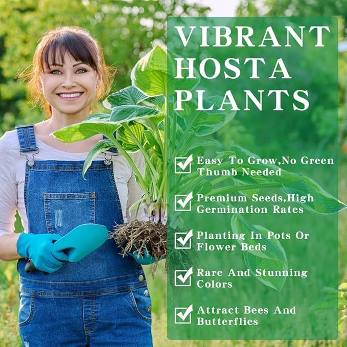 Hosta Seeds 110+ Mixed, Shade-Resistant Perennial Plants, Unique Leaf Color Combinations, Perfect for Garden Borders, Flower Beds & Containers, Easy Grow, Extremely Hardy
