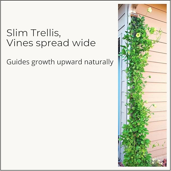 Downspout Trellis for Rain Gutters and Downspouts 9 ft x 4 in Climbing Plant Support HDPE Mesh with Mounting Hardware for Clematis and Vines, Scroll Trellis 1-Pack