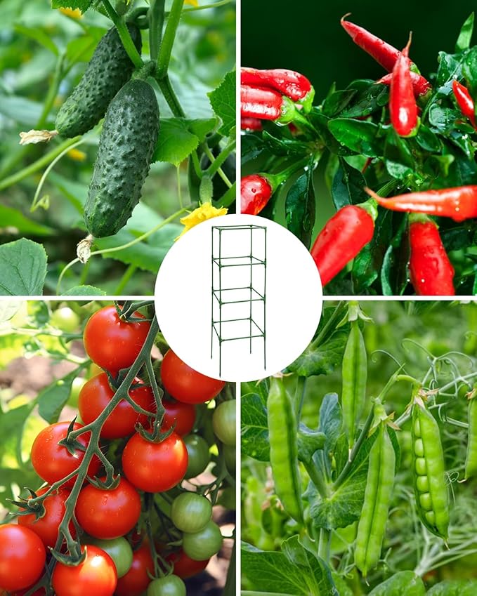 3 Pack Tomato Cages for Garden - Heavy Duty Square Tomato Plant Support Stakes, Height-Adjustable Tomato Trellis, Tomato Plant Cage for Raised Beds/Pots (Holds 50 Lbs)
