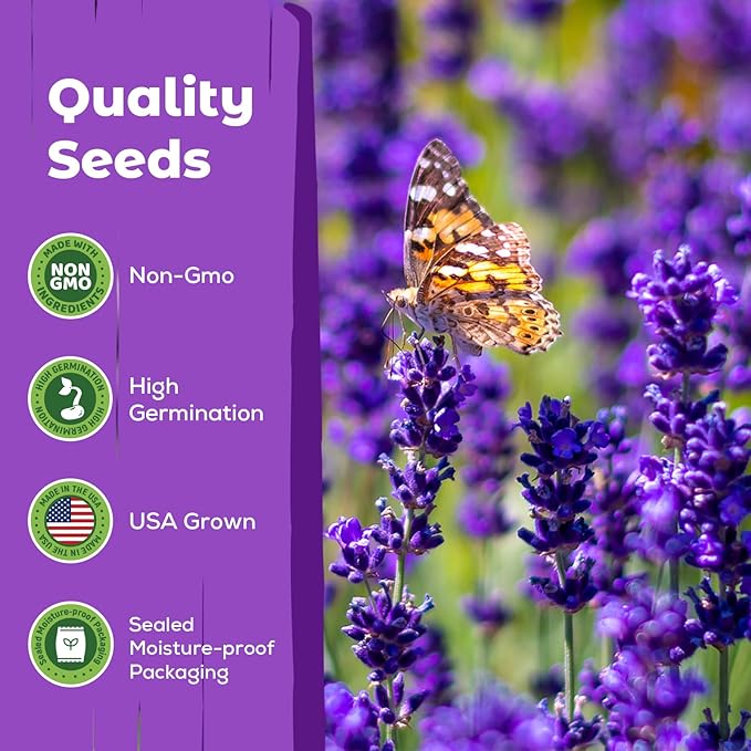 7,000+ Lavender Seeds Large Non GMO 3/4 Ounce Packet English Lavender Seeds- Heirloom Seeds Lavandula Angustifolia Wildflower Seed for Planting Indoor/Outdoor, High Germination, Plant Flower Seeds
