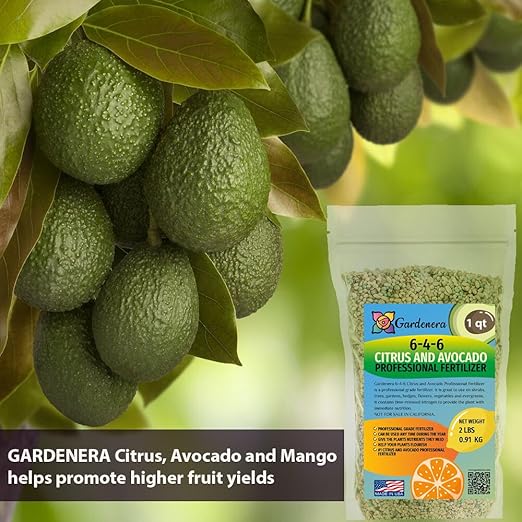 𝐁𝐄𝐒𝐓𝐒𝐄𝐋𝐋𝐄𝐑 6-4-6 Avocado Citrus Tree Plant Food for Outdoor/Indoor Gardening | Quick-Release Nitrogen Fertilizer | Orange, Lime, Avocado and Lemon Tree Fertilizer [12 OZ]