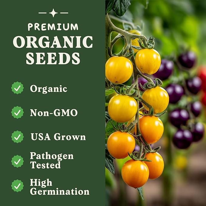 Seedboy Organic Rainbow Cherry Tomato Seeds for Planting Indoor and Outdoor, Non-GMO and USDA Certified Vegetable Seed Packet for Hydroponic Garden Indoor or Planting Outdoors (Cherry Tomato)