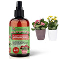 𝐁𝐄𝐒𝐓𝐒𝐄𝐋𝐋𝐄𝐑 Plant Superfood for KALANCHOE Plants with B1 Vitamin, Glucose and Essential Minerals - Organic Plant Food Fertilizer for Indoor & Outdoor KALANCHOE Plant Care - 8oz
