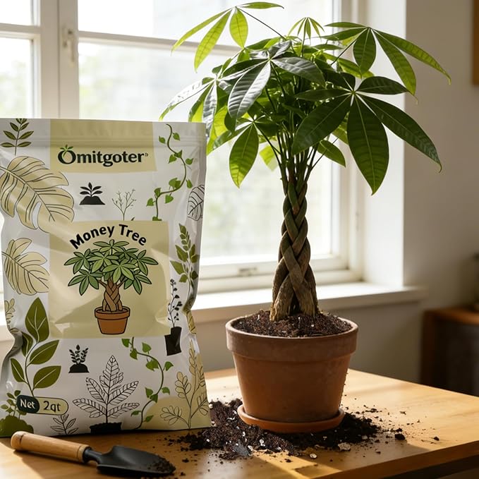 All-Natural Money Tree Soil & Indoor Potting Mix 4QT - Drainage-Enhanced Plant Soil for Healthy Indoor Plants