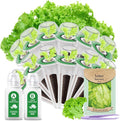 Gourmet Lettuce Seed Pod Kit for AeroGarden, iDoo, Ahopegarden, MuFGA with Nutrient Solution, Hydroponics Growing Kit for Indoor Garden System (12-Pod)