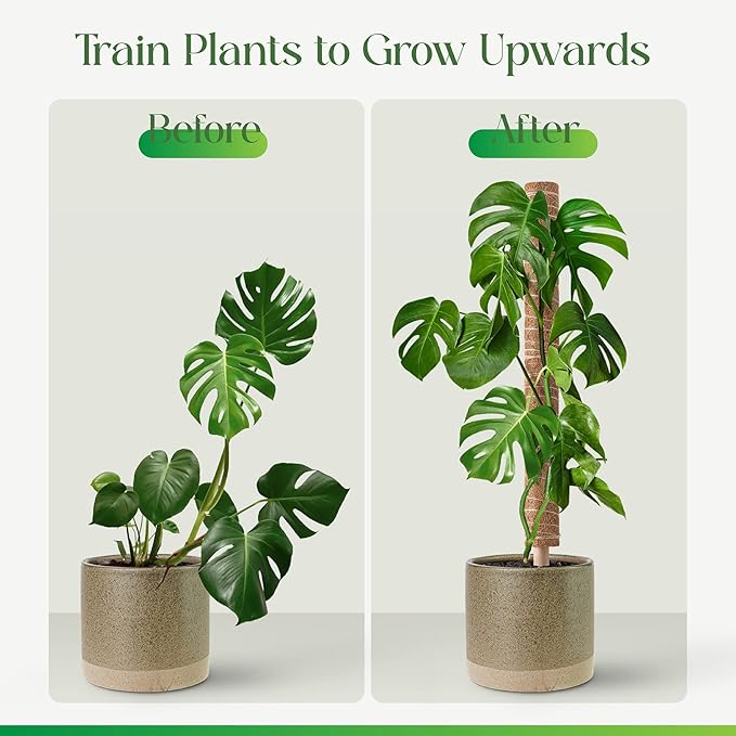 Pisol Moss Pole for Plants Monstera, Extendable Plant Sticks Support, Plant Stakes for Indoor Potted Plant, 15.7'' Coco Coir Pole Plant Trellis for Sphagnum, Pothos and Other Climbing Plants(4 PCS)