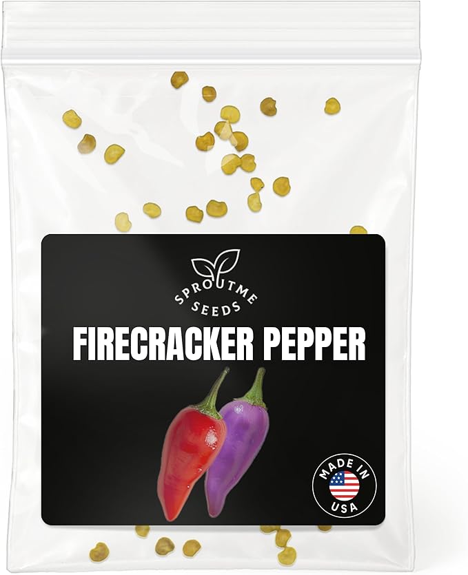 Fall & Winter Firecracker Pepper Seeds for Indoor Planting – 50 Non-GMO Heirloom USA-Grown Hot Ornamental Chili Seeds with High Germination (Capsicum annuum)