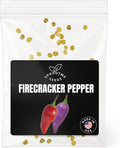 Fall & Winter Firecracker Pepper Seeds for Indoor Planting – 50 Non-GMO Heirloom USA-Grown Hot Ornamental Chili Seeds with High Germination (Capsicum annuum)