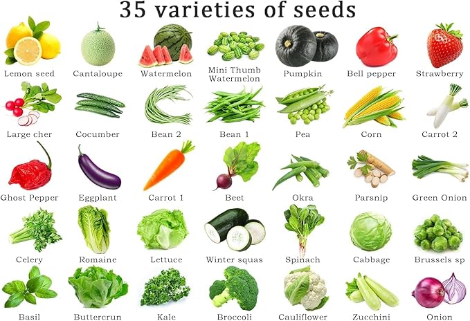 Vegetable Seeds Kit Fruit Seeds for Planting Non-GMO and Heirloom 35 Varieties Seeds for Planting Vegetables 10 Plant Markers