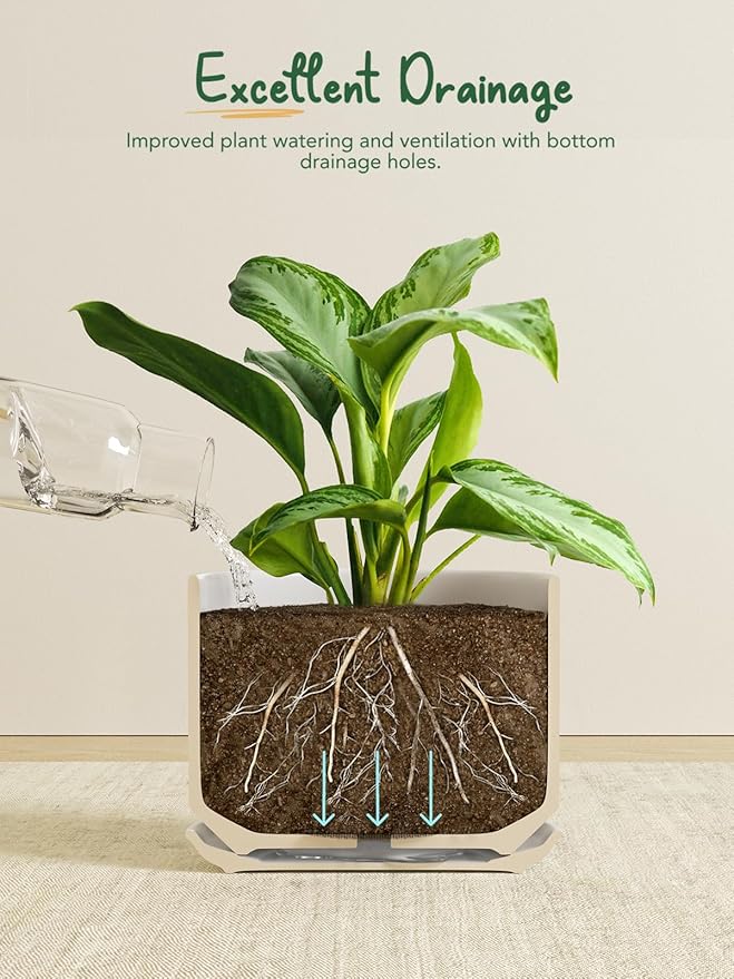 LE TAUCI Ceramic Pots for Plants, 8 Inch Plant Pot with Drainage Hole & Saucer, Modern Planters for Indoor Plants, Round Flower Pot for Snake Plant, Monstera, Perfect for Home Decor, Forest Green