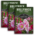 Single Mixed Hollyhock Seeds for Planting - Plant & Grow Colorful Tall Spikes of Flowers in Your Home Vegetable Garden - Non-GMO Heirloom Variety - Survival Garden Seeds (3 Packs)