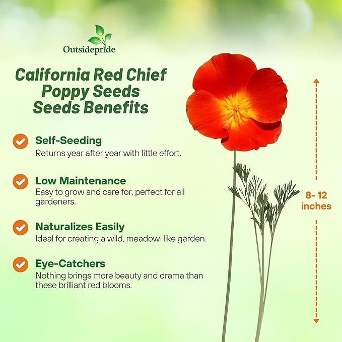 Outsidepride Red Chief California Poppy Seeds for Planting - 1/4 Lbs. Annual, Drought-Tolerant & Easy to Grow Wildflower Seeds with Vibrant Blooms for Landscaping, & Pollinator Garden