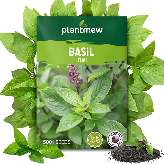 Thai Basil Seeds for Planting - 500 Heirloom, Non-GMO Seeds - Thai Basil Herb Seeds for Home Herb Garden, Indoor & Outdoor Herb Gardening