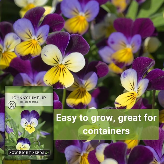 Sow Right Seeds - Violet, Johnny Jump-Up Flower Seed for Planting - Beautiful Flowers to Plant in Your Garden - Non-GMO Heirloom Seeds - Perfect for Spring Containers - Attract Pollinators (3)