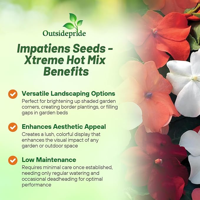 Outsidepride Xtreme Hot Mix Impatiens Flower Seeds - 150 Pcs Annual, Compact & Pollinator Friendly, Impatiens Seeds for Planting w/Vibrant, Abundant Blooms for Shade Gardens & Container Displays