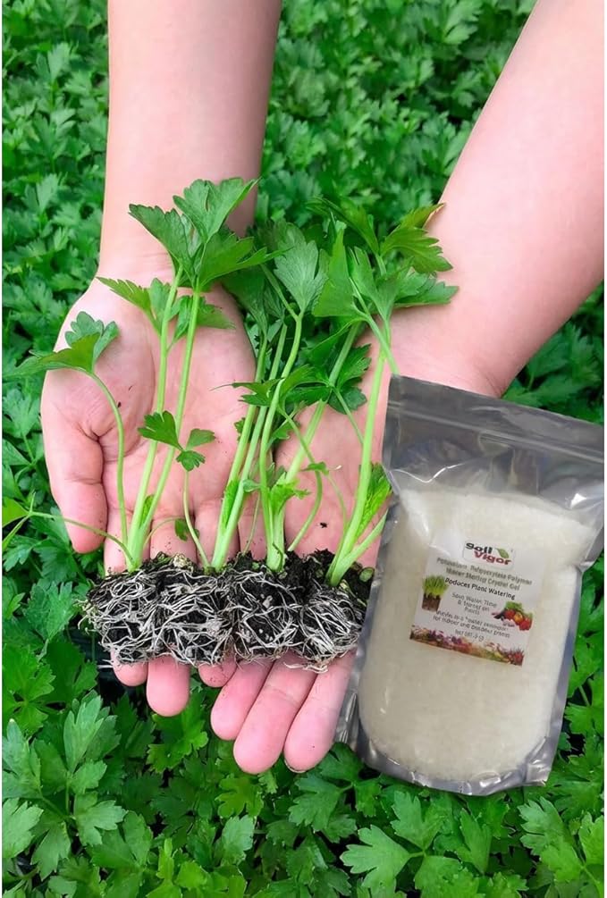 The Ultimate Super Absorbent Polymer for Thirsty Plants - Reduce Watering, Boost Growth, and Save Water 2 Pounds