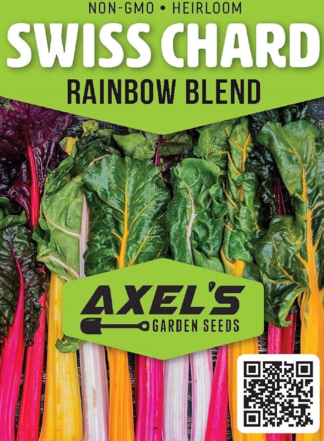 Rainbow Swiss Chard Seeds for Planting Heirloom Non GMO Packets 50 Seeds – Plant & Grow Swiss Chard Home Outdoor Garden, Great Gardening Gift - 3 Packets