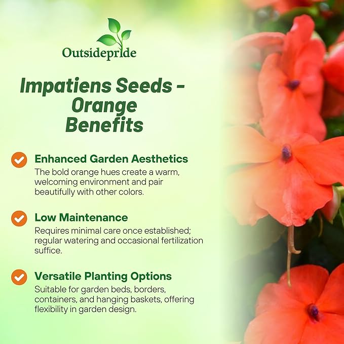 Outsidepride Beacon Orange Impatiens Flower Seeds - 50 Pcs Annual, Compact & Pollinator Friendly, Impatiens Seeds for Planting w/Vibrant, Abundant Blooms for Shade Gardens & Container Displays