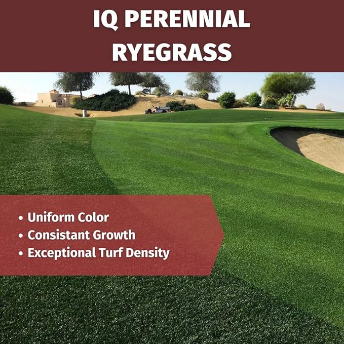 Velocity™ Perennial Rye Grass Seed — Fast-Germinating Cool-Season Turf for Overseeding Lawns, Sports Fields & Golf Courses — Dark Green Winter Color — 10 lb / 25 lb / 50 lb Options (10 lbs)