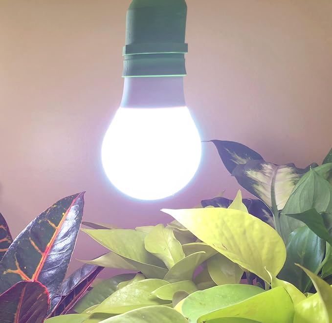 Miracle LED 6.5KK Professional Indoor Grow Light Bulb – 6500K Blue Spectrum Replace 150W Grow Bulbs for Vegetables, Herbs, Hydroponics. (1-Pack)