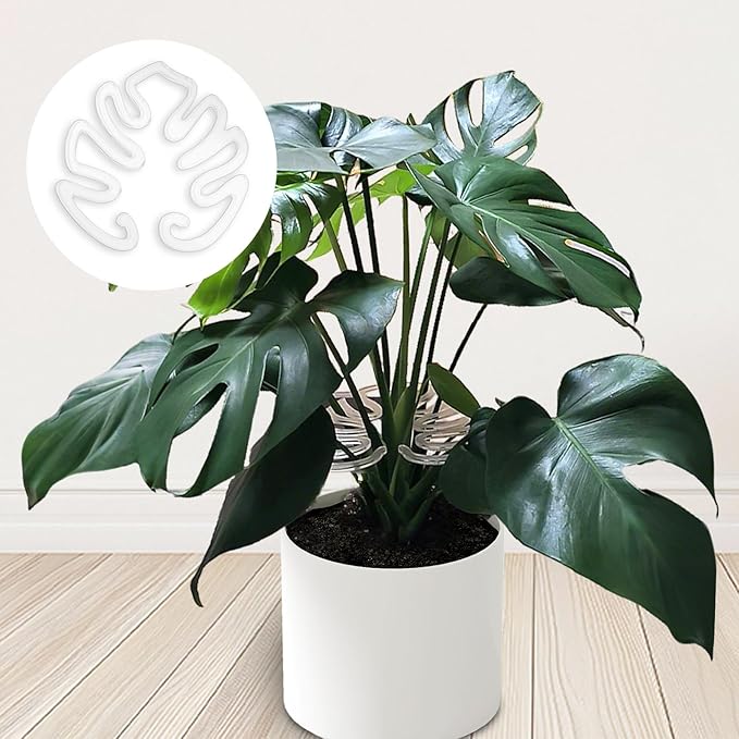 Plant Stem Support,Plastic Monstera Plant Support, Climbing Houseplant Stem Supports, Stem Hook Growth Accessories for Plant (Large-7.8in)