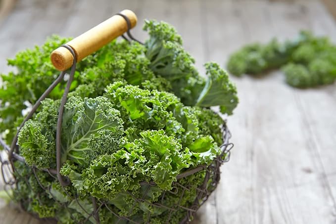 Seeds Dinosaur Kale - Giant Bush Cabbage - Heirloom Vegetable - GMO Free