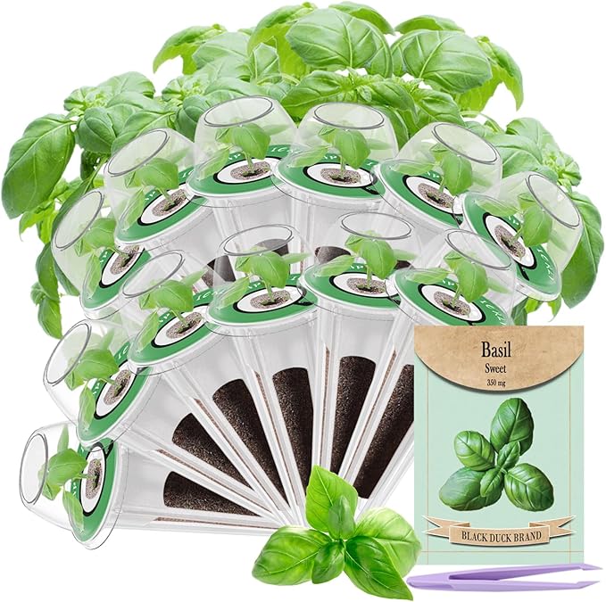 12-Pod Basil Herb Seed Pod Kit for AeroGarden, iDoo, Ahopegarden Hydroponic Growing System, 350mg Seeds