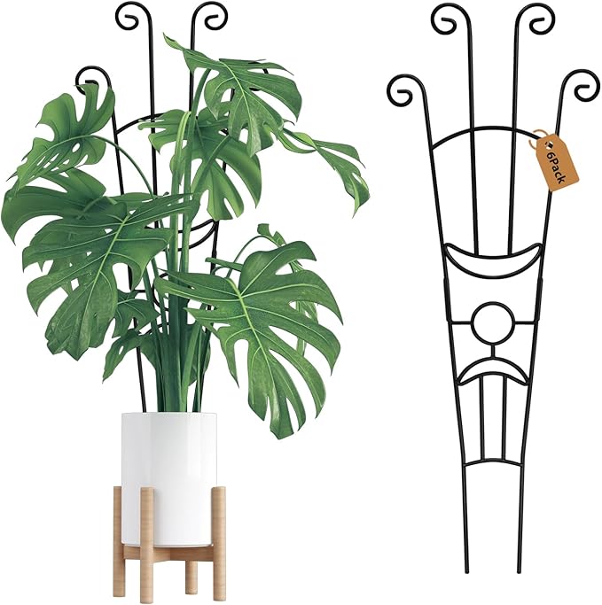 Garvee 6 Pack 30'' Plant Trellis for Climbing Plants Indoor, Plant Climber Support Indoor Outdoor, Rust-Resistant Sturdy Metal Trellis for Potted Plants Ivy Pothos Monstera Hoya Flower Vine