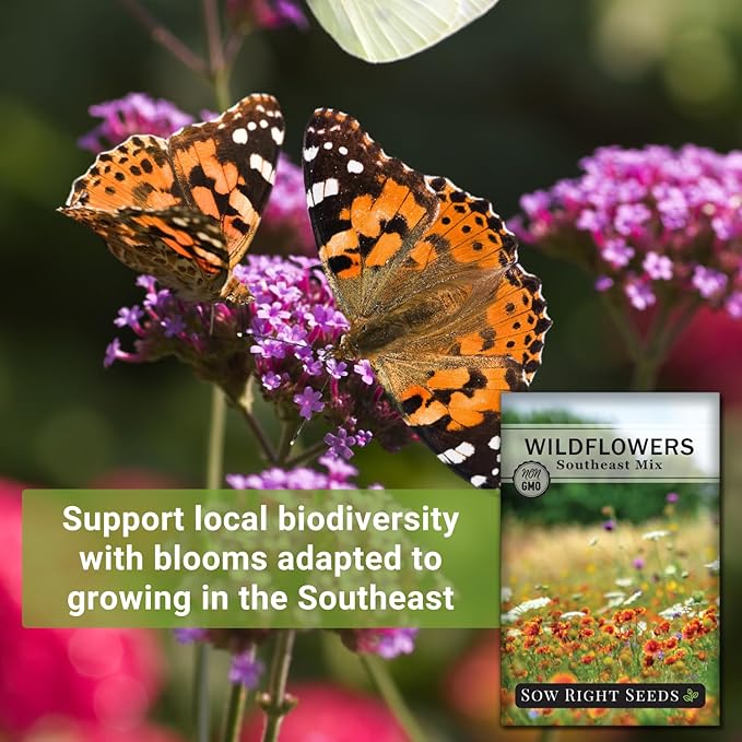 Sow Right Seeds - Wildflowers Seeds Mix for Planting in Southeast - Non-GMO Heirloom Varieties to Grow a Wild Flower Garden - Perennial and Annual Flowers to Attract Pollinators - Colorful Blooms (1)