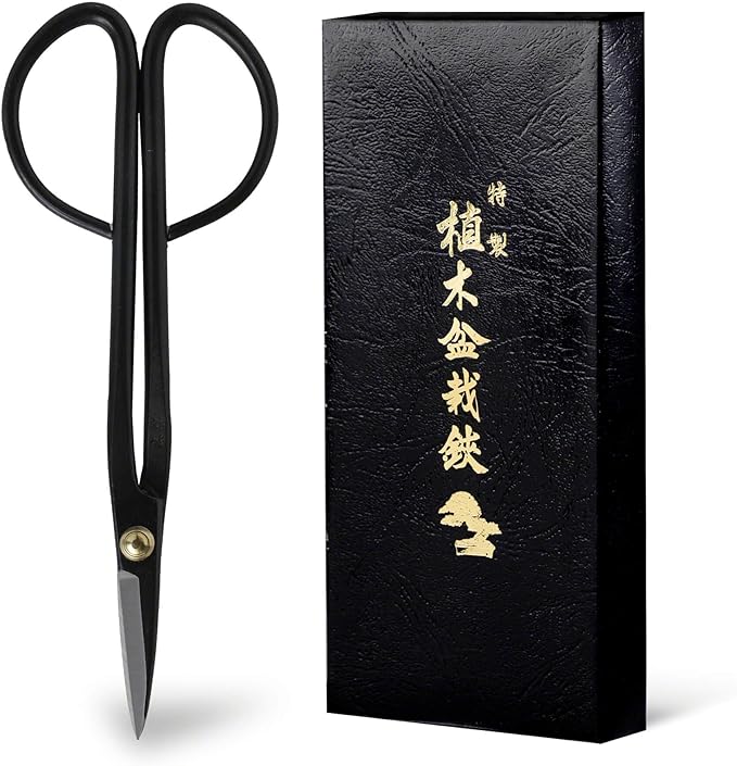 Hanafubuki Wazakura Twig Bonsai Scissors Made in Japan 7inch(180mm), Japanese Bonsai Garden Tools, Hasami Pruning Shears - Black