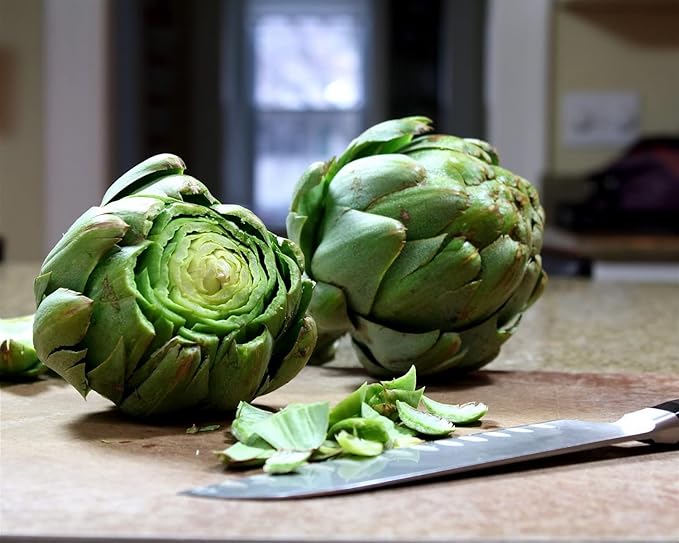 Seeds Green Globe Artichoke Non GMO Vegetable for Planting