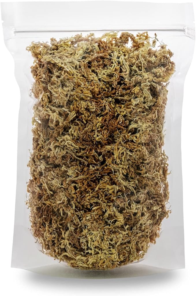 Gardenera Ixora Potting Mix - Promote Strong Roots and Abundant Flowers with Our Premium Blend - 4 Quart