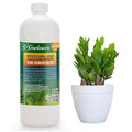 𝐏𝐑𝐎𝐅𝐄𝐒𝐒𝐈𝐎𝐍𝐀𝐋 Liquid Silica Plant Supplement - 32oz - ZAMIOCULCAS Plants Liquid Silica Boost Fertilizer - Stronger Stems & Healthy Leaves for Indoor & Outdoor ZZ Plants (Makes 180 Gallons)
