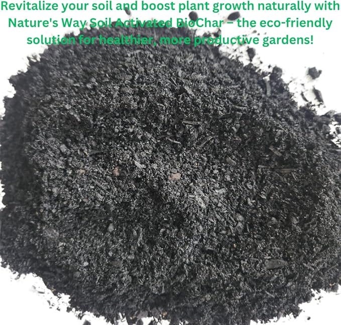 Generic Horlticural Activated Charcoal for Plants, 4 Quarts, Indoor and Outdoor, Charcoal for Terrariums, Conditioning for Bonsai Soil and Catus Soil, Black, NWS-4q-ABC