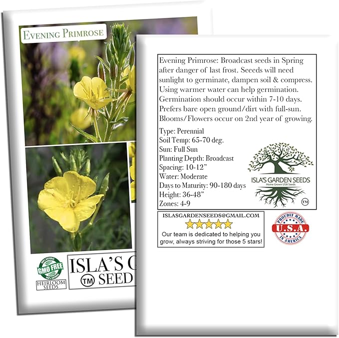 Evening Primrose Mix Flower Seeds (Oenothera lamarckiana) – 1500+ Heirloom Seeds per Packet, by Isla’s Garden Seeds, Bright Yellow Night-Blooming Flowers for Home Gardens, Borders & Naturalized Areas