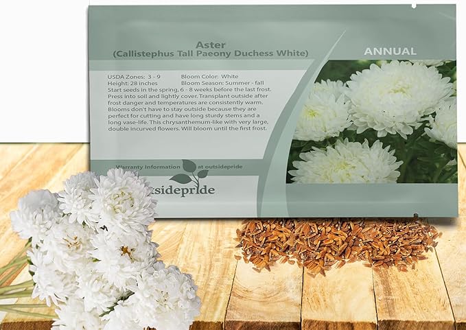 Outsidepride Paeony Aster Seeds - 2,000 Pcs Annual, Hardy & Pollinator Friendly Flower Seeds for Planting Vibrant Double Incurved White Petals, Ideal for Meadows & Aesthetic Gardens