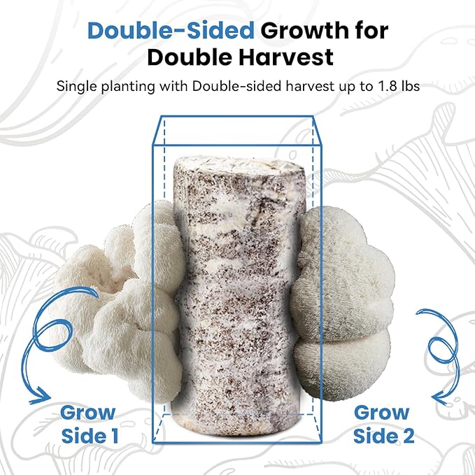 USA Organic 4lbs Lions Mane Mushroom Growing Kit, Double-Side Mushroom Grow Kit Indoor, Harvest Gourmet Mushrooms in 10 Days, Top Gardening Gift, Holiday Gift