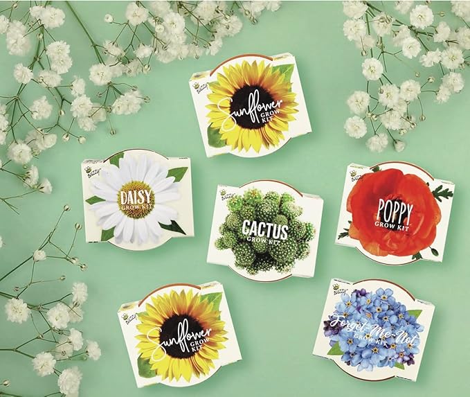 BUZZY Seeds Mini Terracotta Grow Pots Daydream Collection, Assorted 6-Pack Flower and Plant Seed Starter Kit, Indoor Gardening Gift, Holiday Present, Valentine Exchange