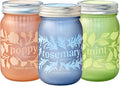 Modern Sprout Mason Garden Jar - Self-Watering Hydroponics Growing System Kit w/Organic Herb Seeds - Jar Planter for Indoor Herb Garden - Seed Starter Kit - Easter Gifting & Decor-Mint+Rosemary+Poppy