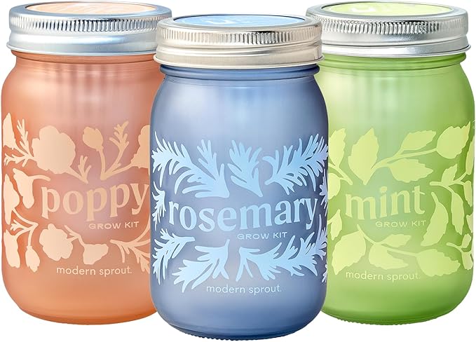 Modern Sprout Mason Garden Jar - Self-Watering Hydroponics Growing System Kit w/Organic Herb Seeds - Jar Planter for Indoor Herb Garden - Seed Starter Kit - Easter Gifting & Decor-Mint+Rosemary+Poppy