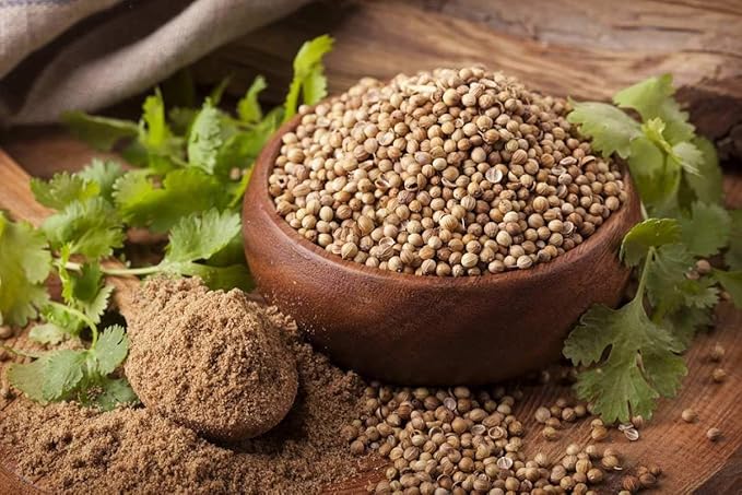NIKA SEEDS - Seeds Herb Coriander Heirloom - 500 Seeds