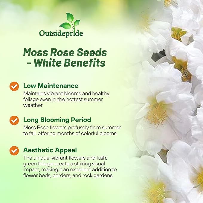 Outsidepride White Moss Rose Seeds - 10000 Pcs Annual, Drought & Heat Tolerant, Pollinator Friendly Ground Cover Seeds for Planting w/Vibrant Blooms & Succulent Foliage, Ideal for Xeriscaping