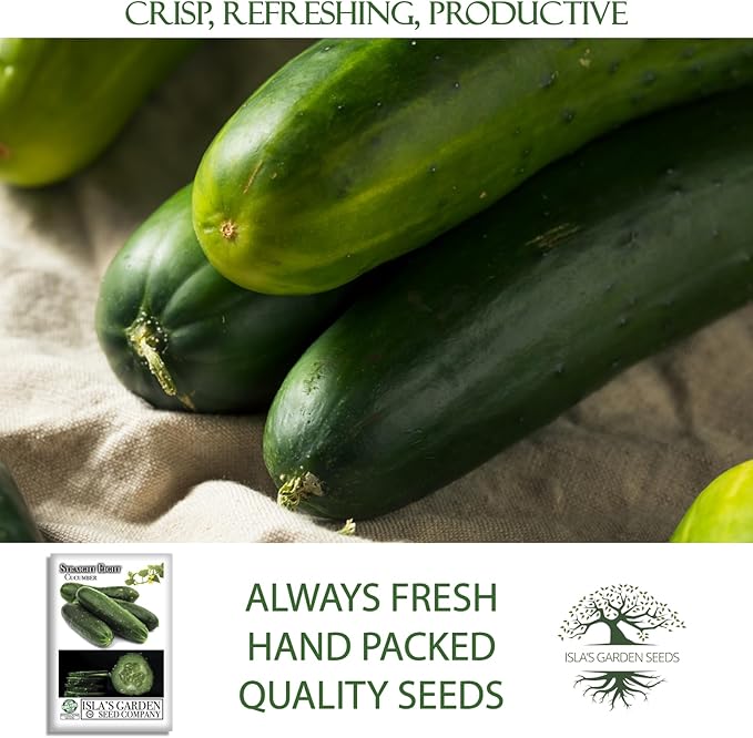 Straight Eight Cucumber Seeds – 150+ Heirloom Non-GMO Seeds by Isla’s Garden Seeds, Crisp & Tender, High-Yield, 90% Germination Rate, Perfect for Slicing, Easy to Grow, Great for Home Gardens or Gift