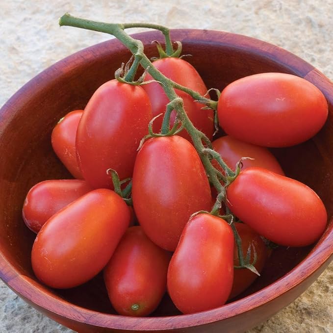 Burpee 'Cherry Roma' | Red Paste Tomato | Sweet Flavor | 30 Seeds